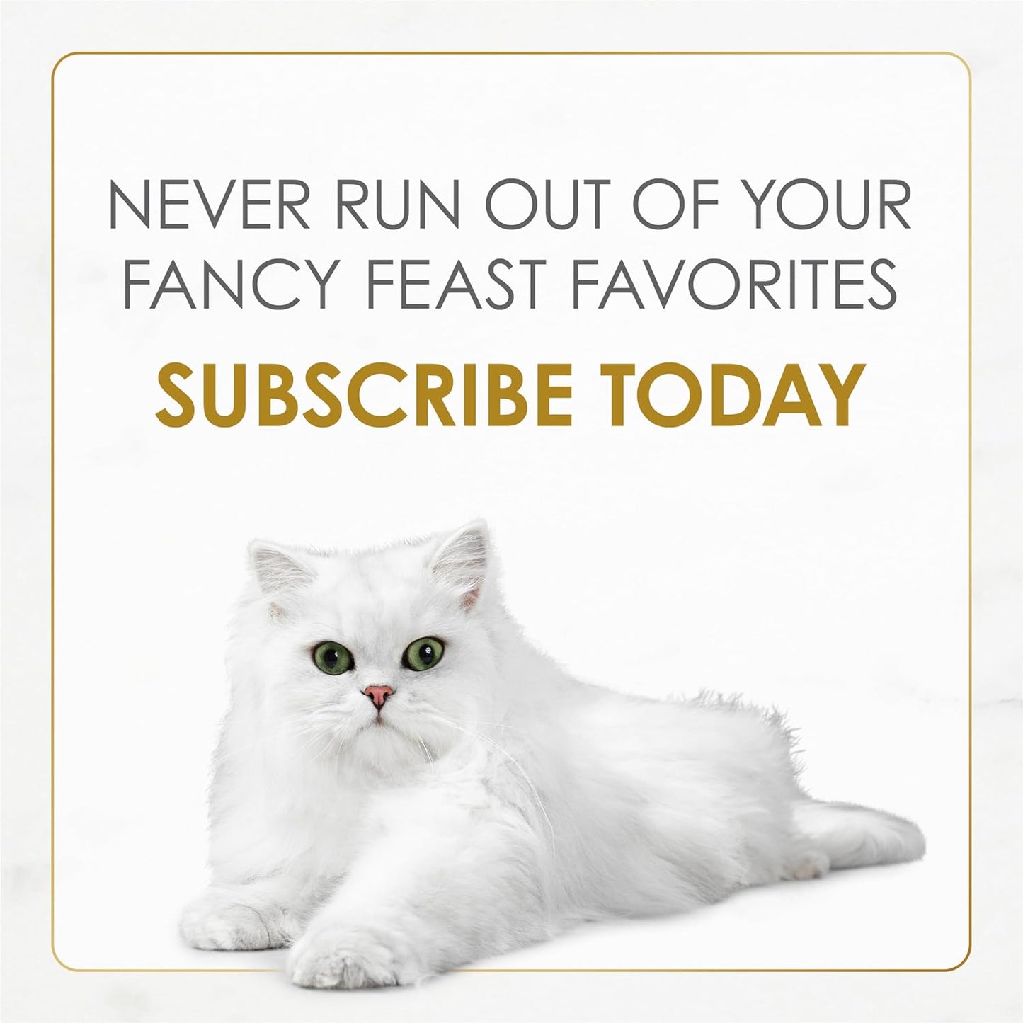 Purina Gourmet Wet Cat Food Variety Pack, Petites Pate Collection, Break-Apart Tubs, 24 Servings - (Pack of 12) 2.8 Oz. Tubs