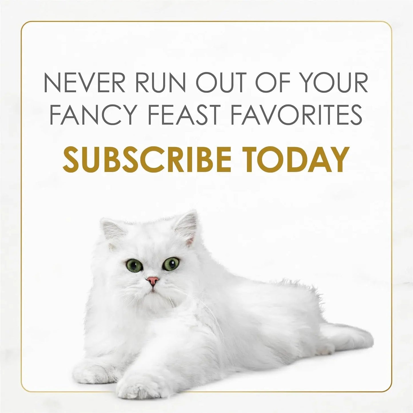 Purina Gourmet Wet Cat Food Variety Pack, Petites Pate Collection, Break-Apart Tubs, 24 Servings - (Pack of 12) 2.8 Oz. Tubs