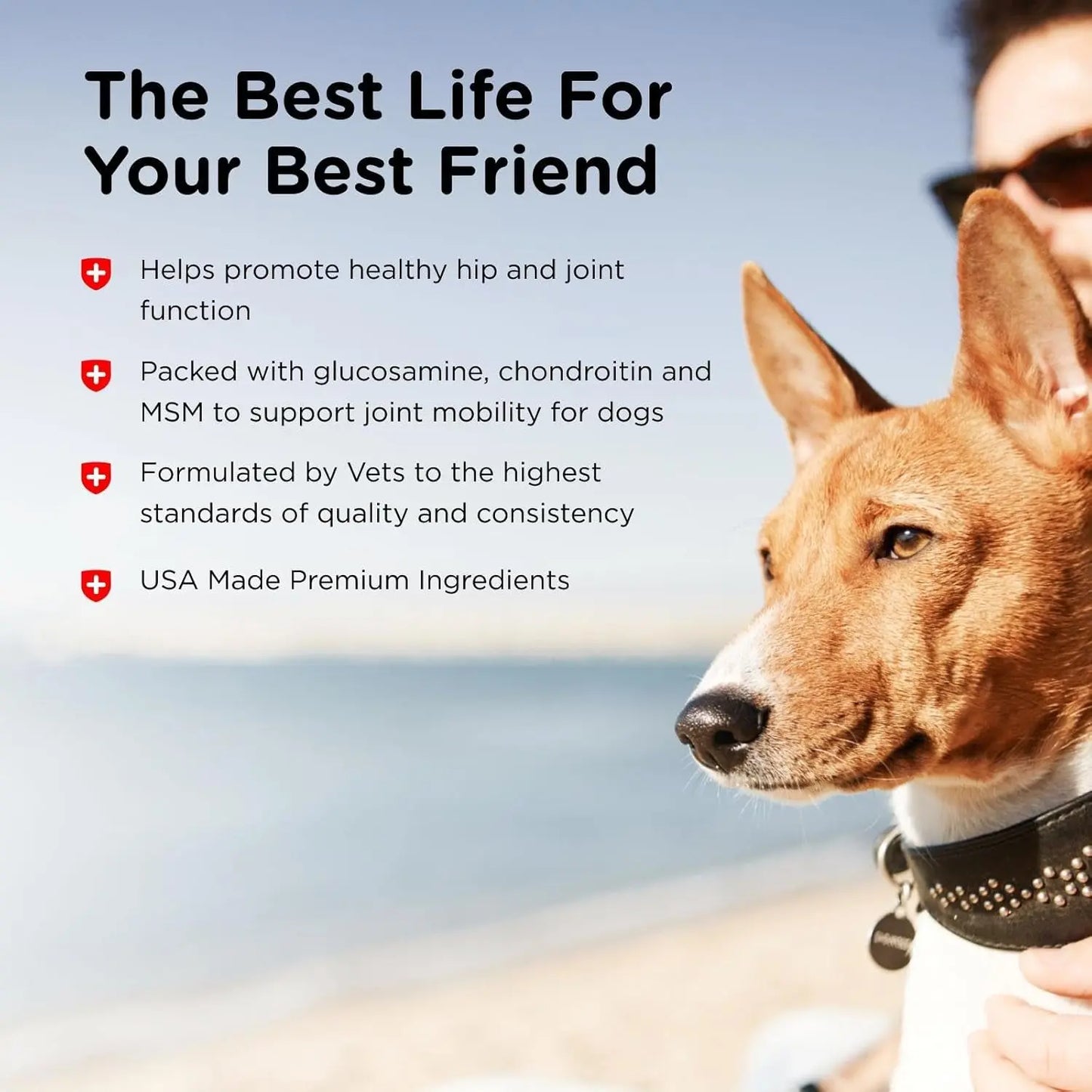 Advanced Strength Hip & Joint Supplement for Dogs, Puppy Supplements, Dog Joint Supplement, Contains 500Mg of Glucosamine, 400Mg of Chondroitin, 50Mg of MSM, Puppy Essentials, 300 Tablets