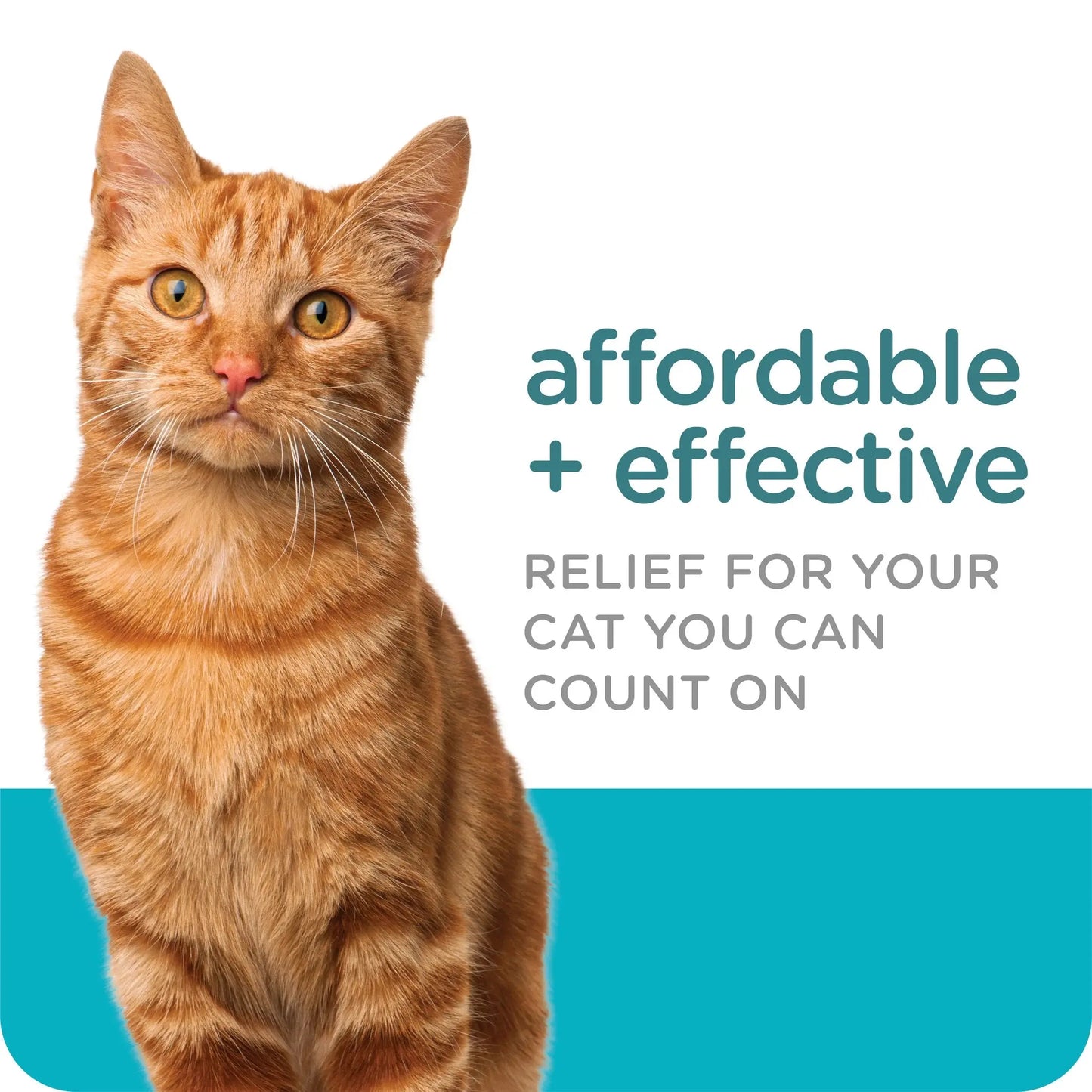 GUARDIAN Flea & Tick Topical for Cats, 6 Lbs and Over, 3 Count
