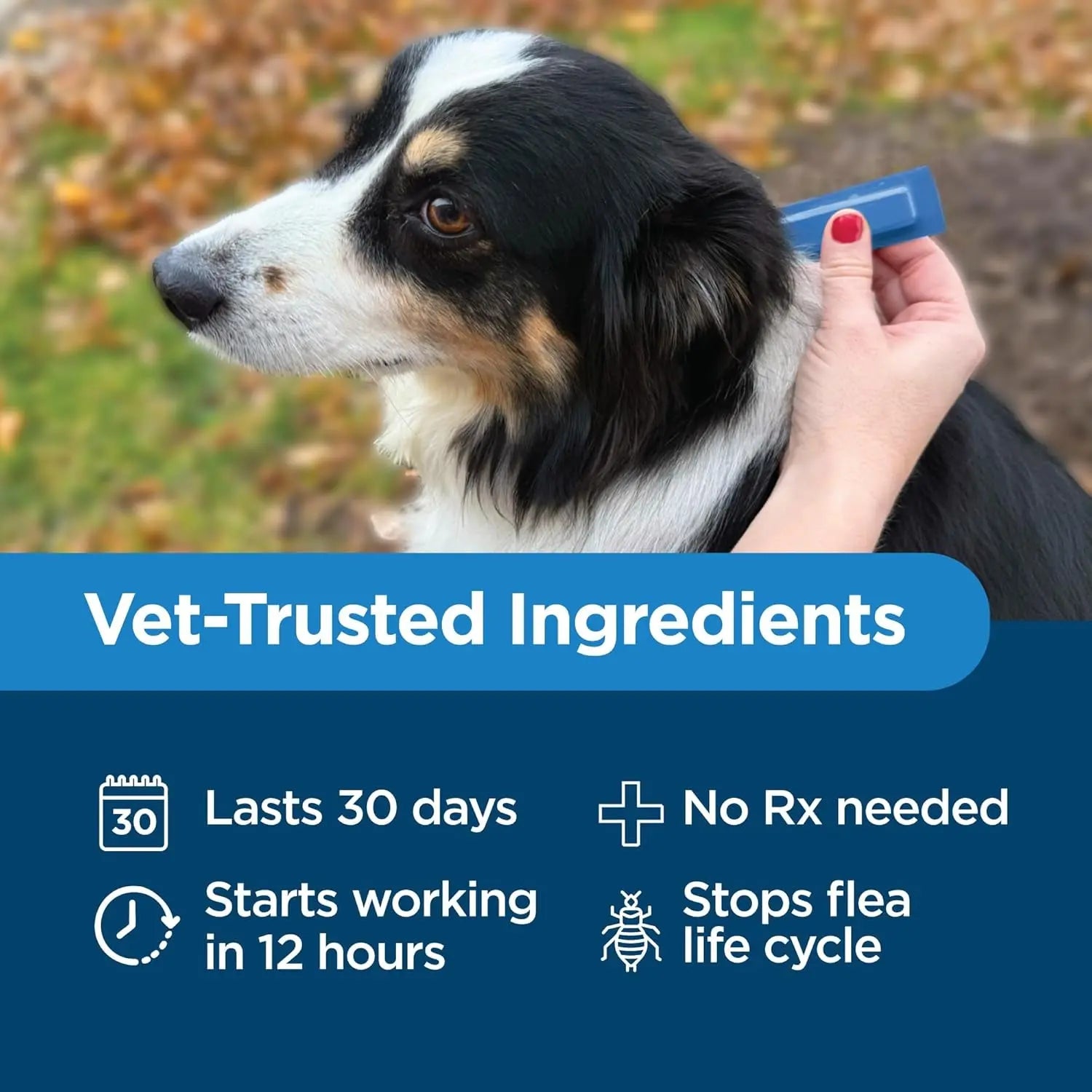 Activate II Flea and Tick Prevention for Dogs | 4 Count | Medium Dogs 11-20 Lbs | Topical Drops | 4 Months Flea Treatment