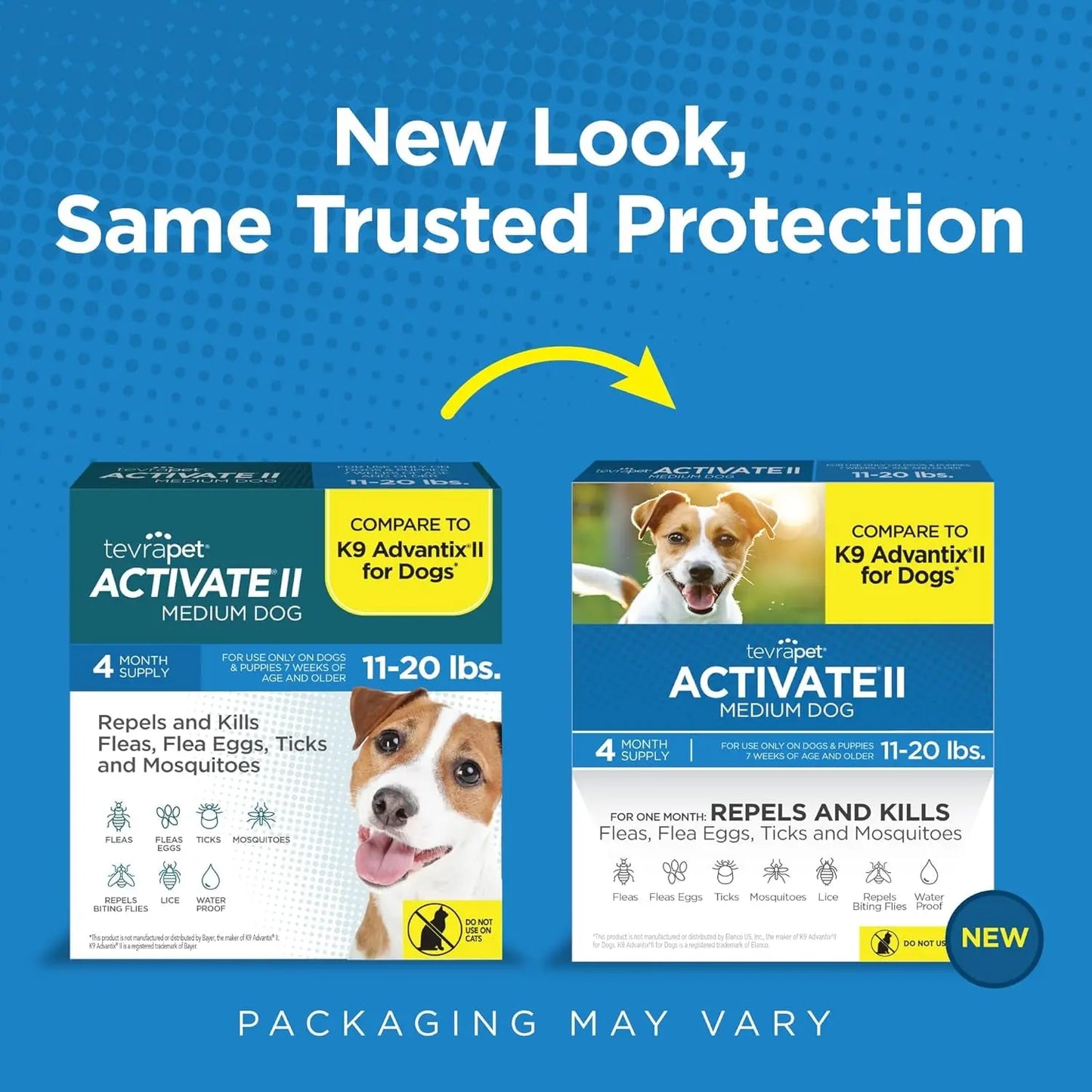 Activate II Flea and Tick Prevention for Dogs | 4 Count | Medium Dogs 11-20 Lbs | Topical Drops | 4 Months Flea Treatment