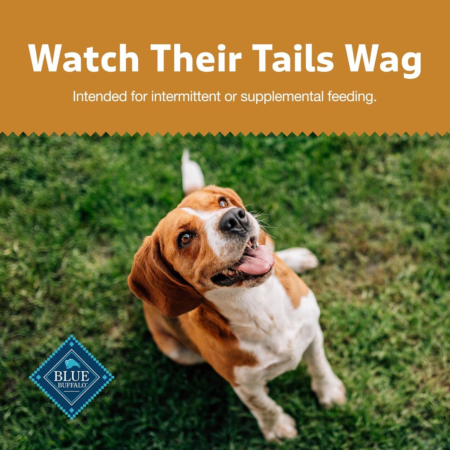 Sizzlers Bacon-Style Dog Treats with Real USA Pork, Cheddar Flavor, 15-Oz Bag