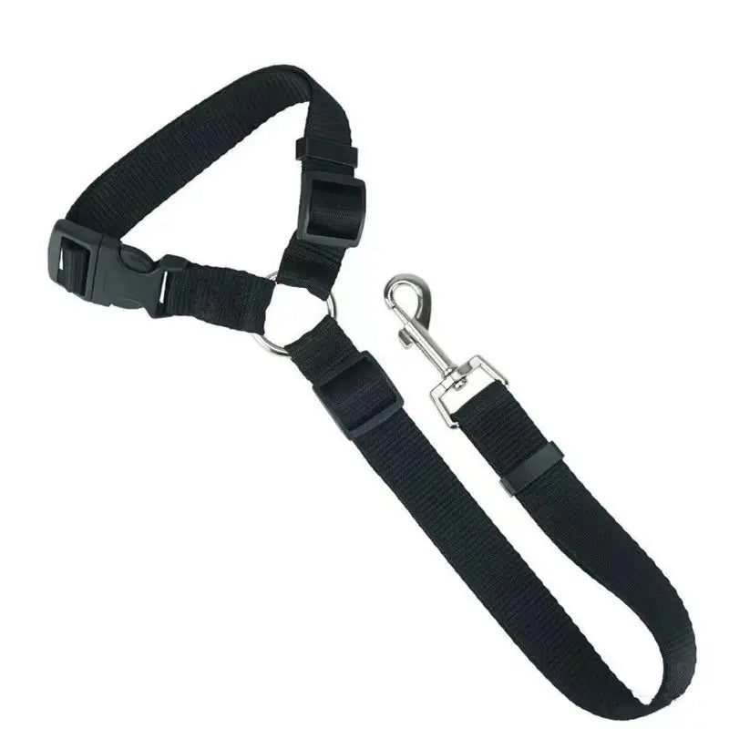 SafeRide DuoLeash – 2-in-1 Car Seat Belt & Walking Leash for Dogs on the Move
