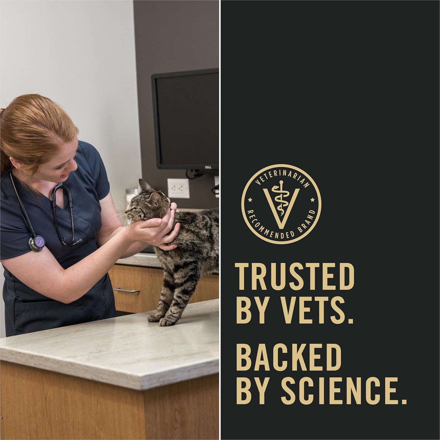 Liveclear Cat Food Weight Management and Cat Allergen Reducer Chicken and Rice Formula - 5.5 Lb. Bag