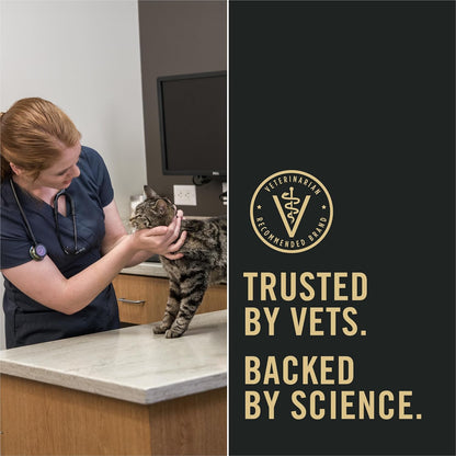 Liveclear Cat Food Weight Management and Cat Allergen Reducer Chicken and Rice Formula - 5.5 Lb. Bag