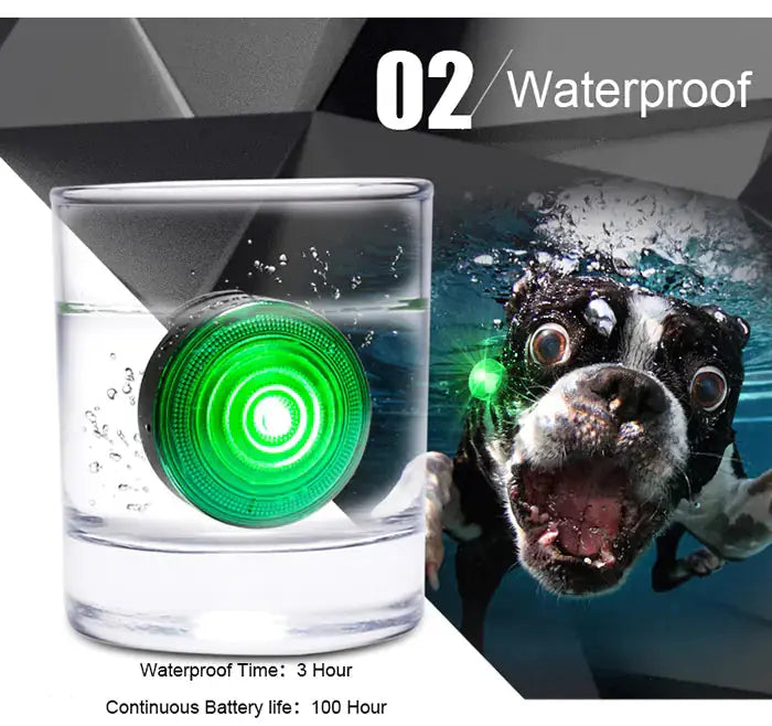 LED Dog Collar Light for Night Safety and Visibility Cats And Dogs Supply