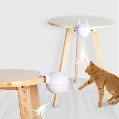 Pet Toy Ball with USB Electric Teaser Wand (Replaceable) Cats And Dogs Supply