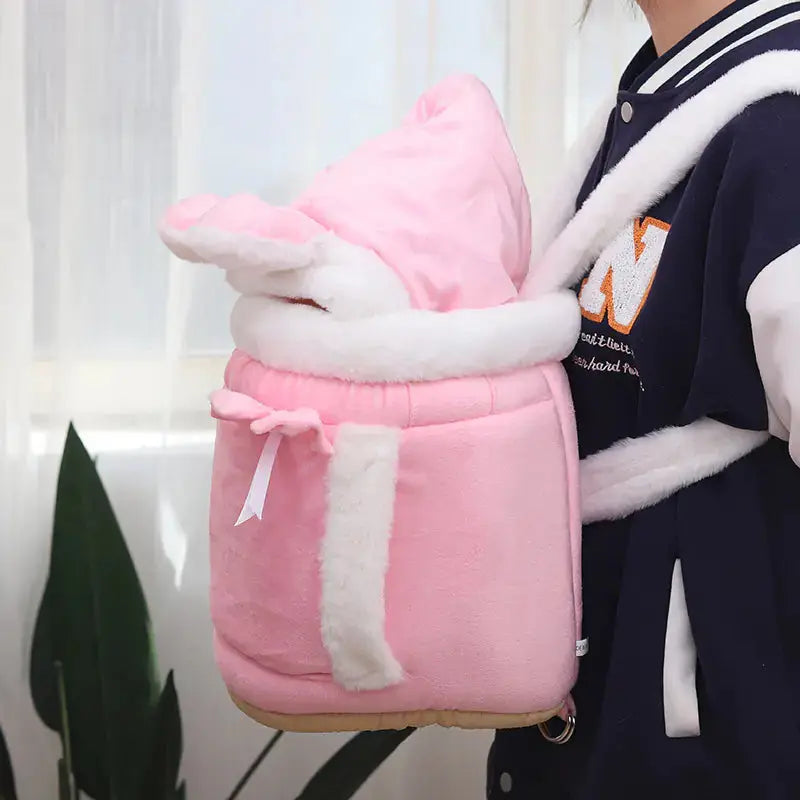Cute Cat Backpack and Indoor Cat Bed Combo Cats And Dogs Supply