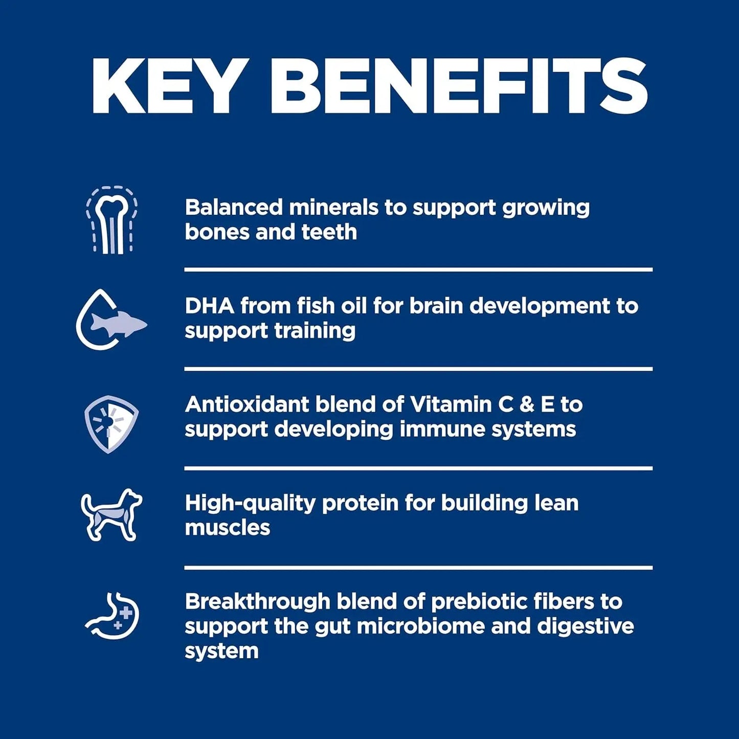 Premium Puppy Nutrition Dry Dog Food with Chicken & Brown Rice, 4.5 lb Bag