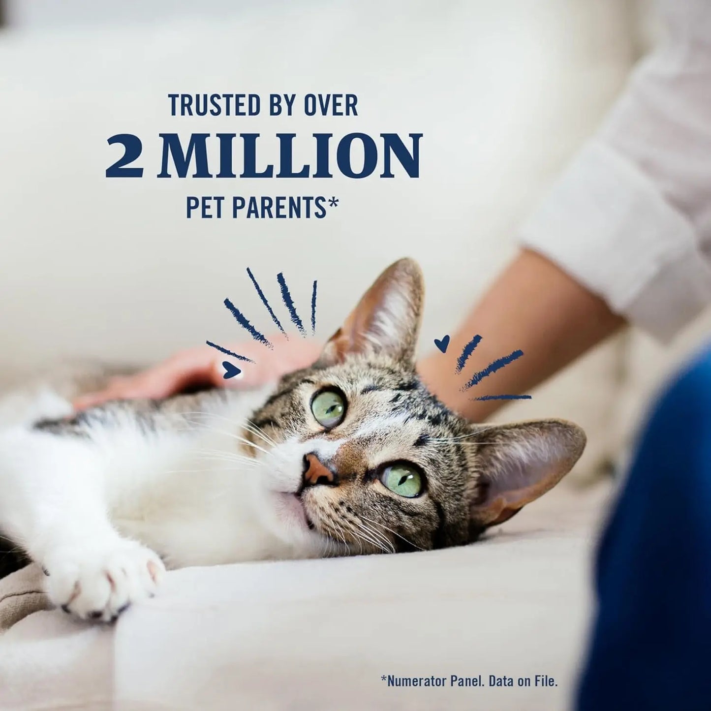 plus Flea and Tick Prevention for Cats, Cat Flea and Tick Treatment, 3 Doses, Waterproof Topical, Fast Acting, Cats over 1.5 Lbs