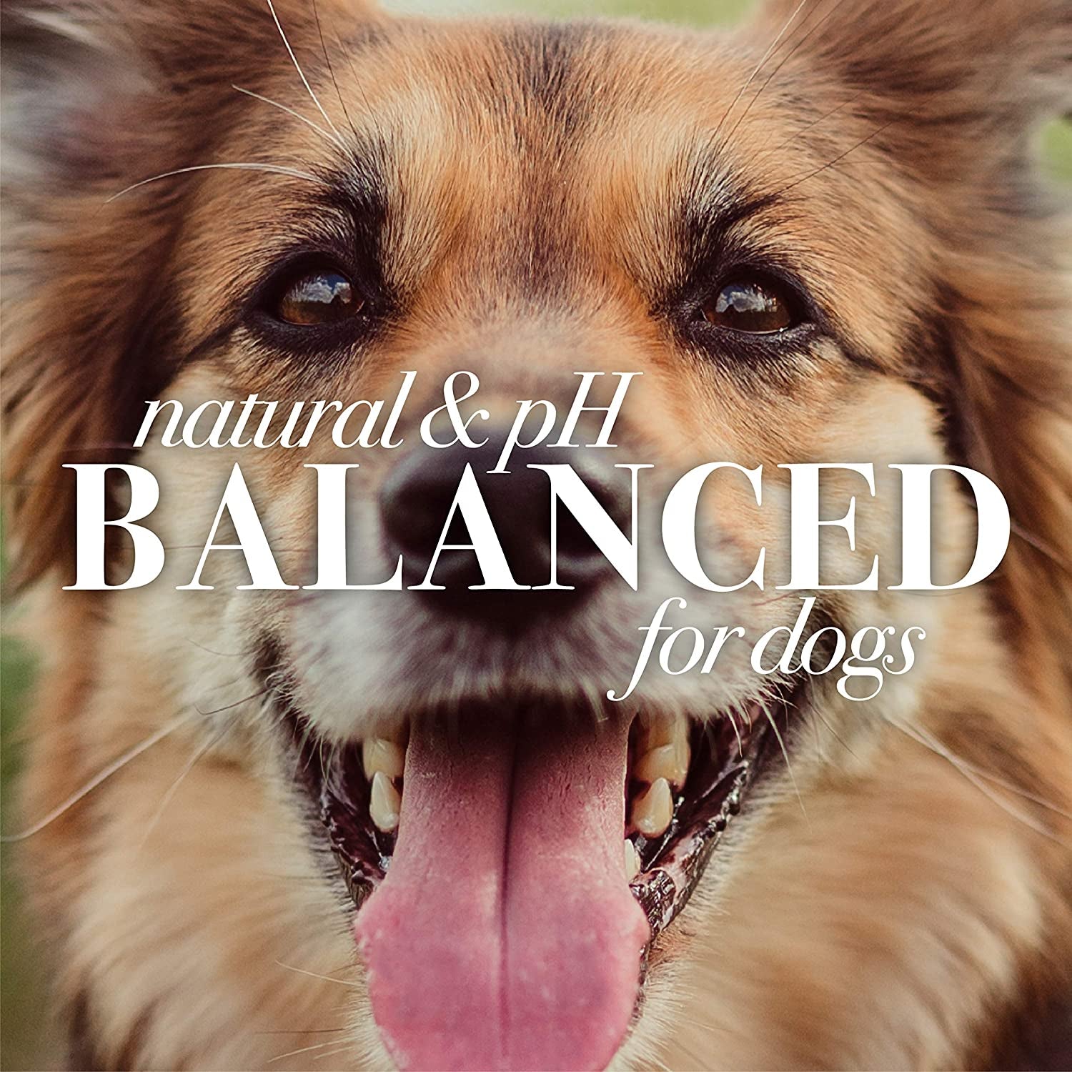 Deodorizing Dog Shampoo with Apple and Rosemary, 95% Natural Origin Formulas, Gentle Canine Cleanser for Smelly Pups, 2 Pk 16 Oz