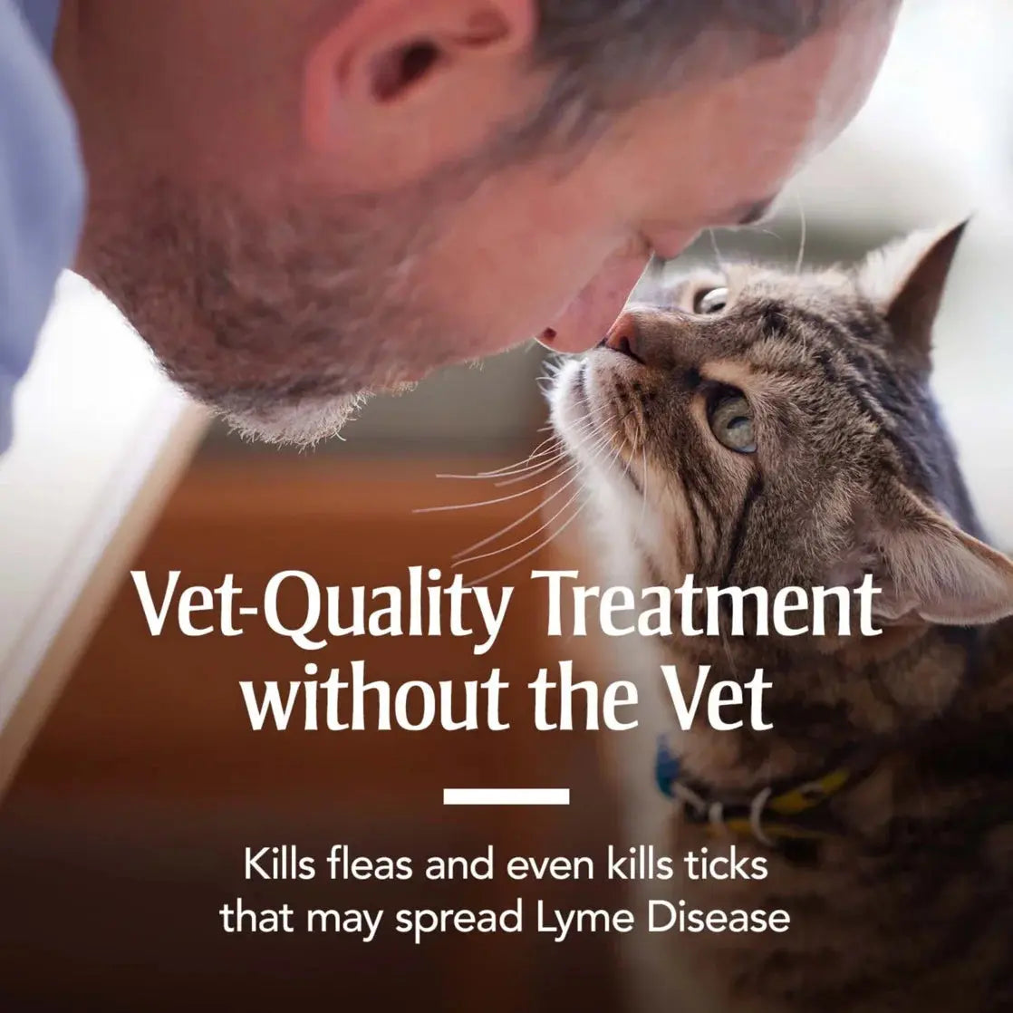 Flea & Tick Treatment for Cats over 1.5 Lbs, 3 Monthly Applications