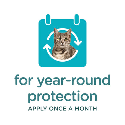 GUARDIAN Flea & Tick Topical for Cats, 6 Lbs and Over, 3 Count