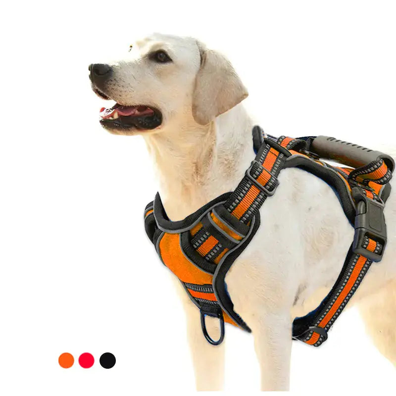Dog Harness Vest Cats And Dogs Supply